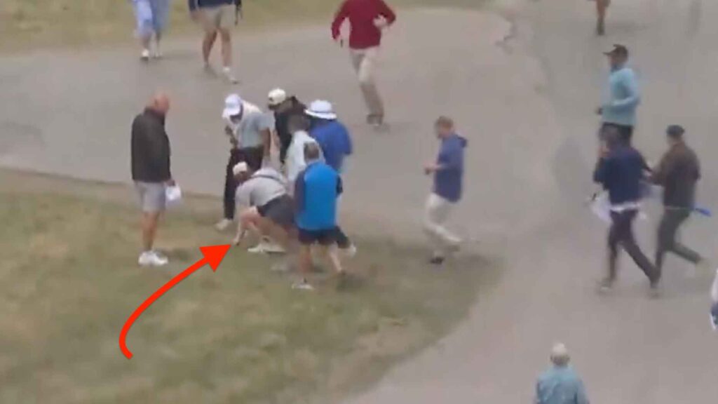 that-us.-open-fan-who-appeared-to-grab-rory-mcilroy’s-ball?-there’s-a-plot-twist