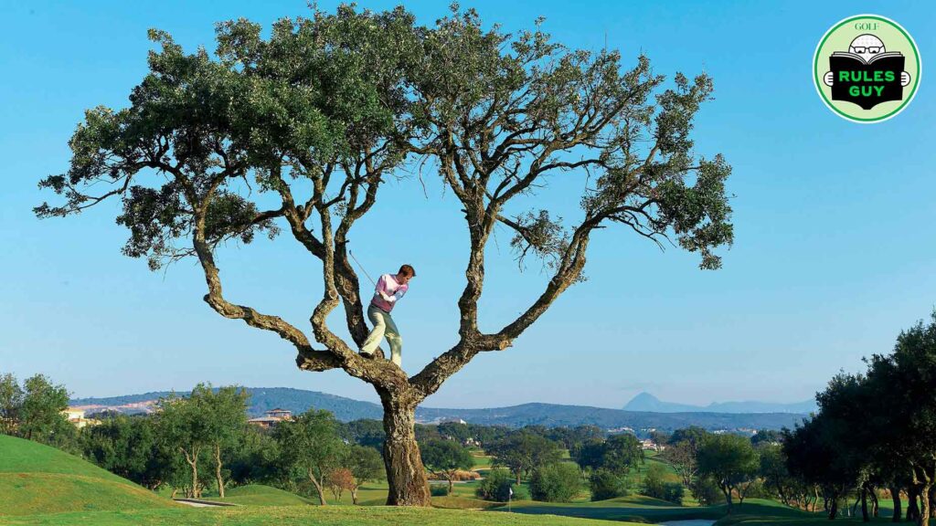 rules-guy:-is-it-legal-to-lean-on-a-tree-for-support-while-hitting?